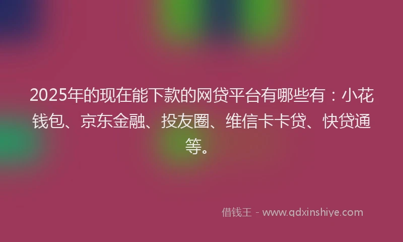 2025年的现在能下款的网贷平台有哪些有：小花钱包、京东金融、投友圈、维信卡卡贷、快贷通等。
