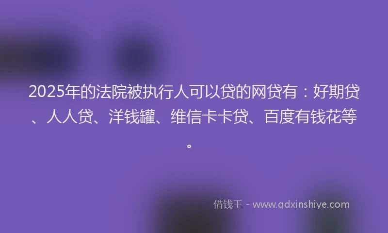 2025年的法院被执行人可以贷的网贷有：好期贷、人人贷、洋钱罐、维信卡卡贷、百度有钱花等。