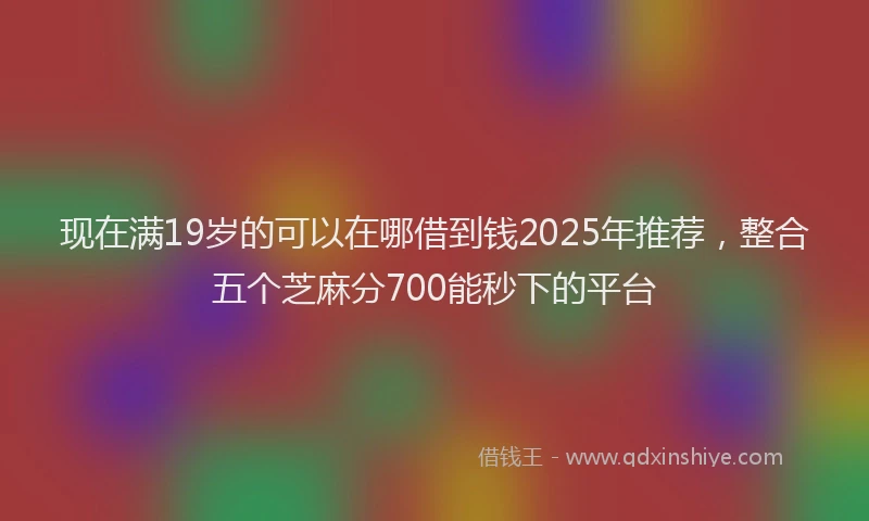 现在满19岁的可以在哪借到钱2025年推荐，整合五个芝麻分700能秒下的平台