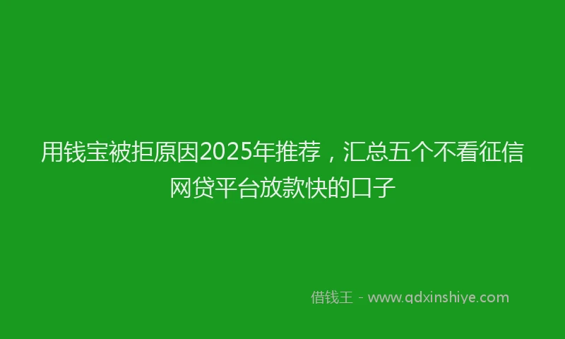 用钱宝被拒原因2025年推荐，汇总五个不看征信网贷平台放款快的口子
