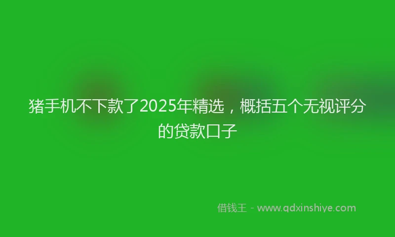 猪手机不下款了2025年精选，概括五个无视评分的贷款口子