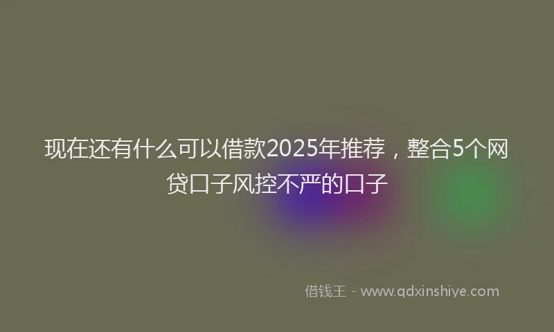 现在还有什么可以借款2025年推荐，整合5个网贷口子风控不严的口子