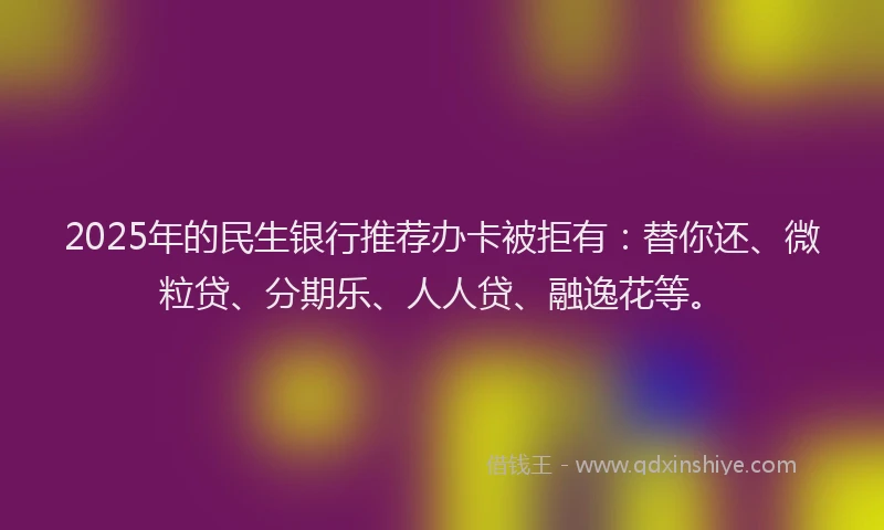 2025年的民生银行推荐办卡被拒有：替你还、微粒贷、分期乐、人人贷、融逸花等。