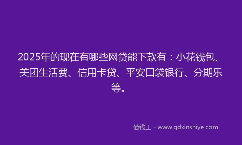 2025年的现在有哪些网贷能下款有：小花钱包、美团生活费、信用卡贷、平安口袋银行、分期乐等。