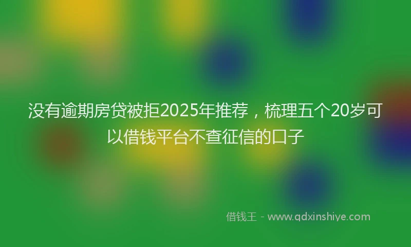 没有逾期房贷被拒2025年推荐，梳理五个20岁可以借钱平台不查征信的口子