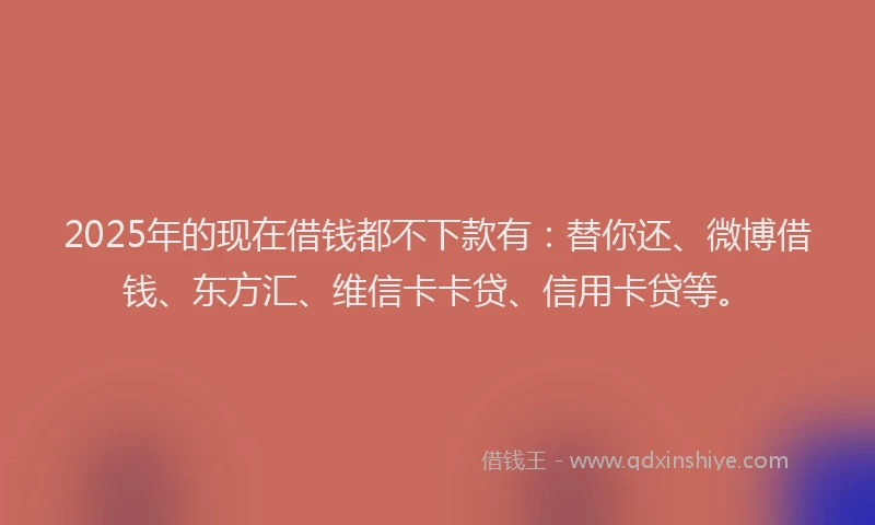 2025年的现在借钱都不下款有：替你还、微博借钱、东方汇、维信卡卡贷、信用卡贷等。