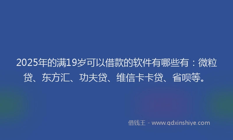 2025年的满19岁可以借款的软件有哪些有：微粒贷、东方汇、功夫贷、维信卡卡贷、省呗等。