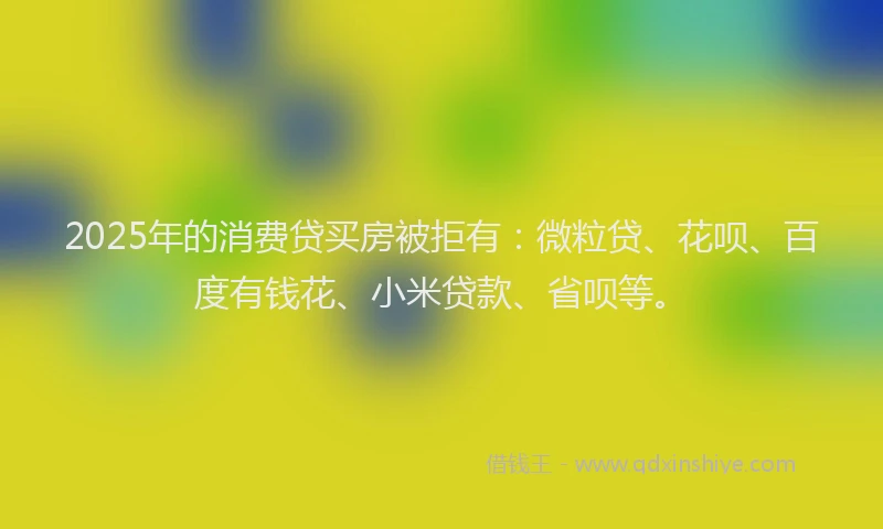 2025年的消费贷买房被拒有：微粒贷、花呗、百度有钱花、小米贷款、省呗等。