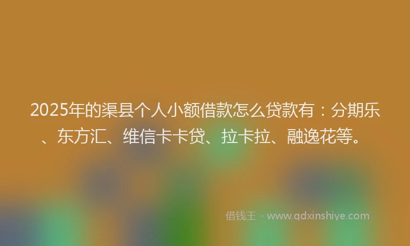 2025年的渠县个人小额借款怎么贷款有：分期乐、东方汇、维信卡卡贷、拉卡拉、融逸花等。
