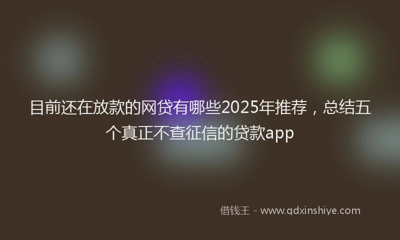 目前还在放款的网贷有哪些2025年推荐，总结五个真正不查征信的贷款app