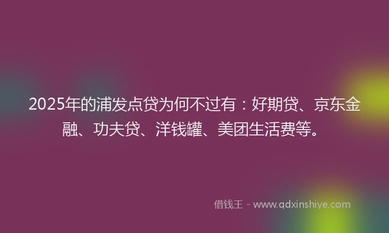 2025年的浦发点贷为何不过有：好期贷、京东金融、功夫贷、洋钱罐、美团生活费等。