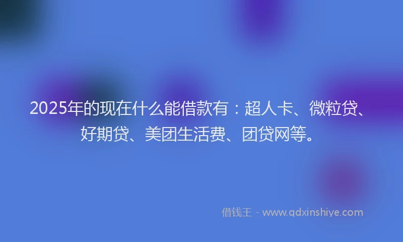 2025年的现在什么能借款有：超人卡、微粒贷、好期贷、美团生活费、团贷网等。