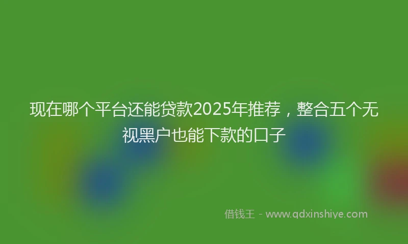 现在哪个平台还能贷款2025年推荐，整合五个无视黑户也能下款的口子