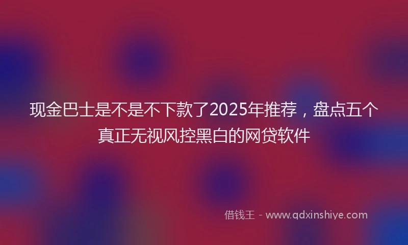现金巴士是不是不下款了2025年推荐，盘点五个真正无视风控黑白的网贷软件