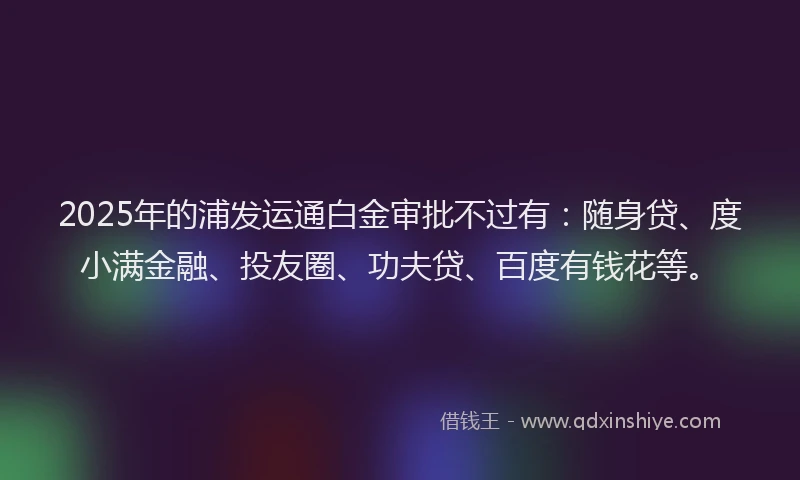 2025年的浦发运通白金审批不过有：随身贷、度小满金融、投友圈、功夫贷、百度有钱花等。