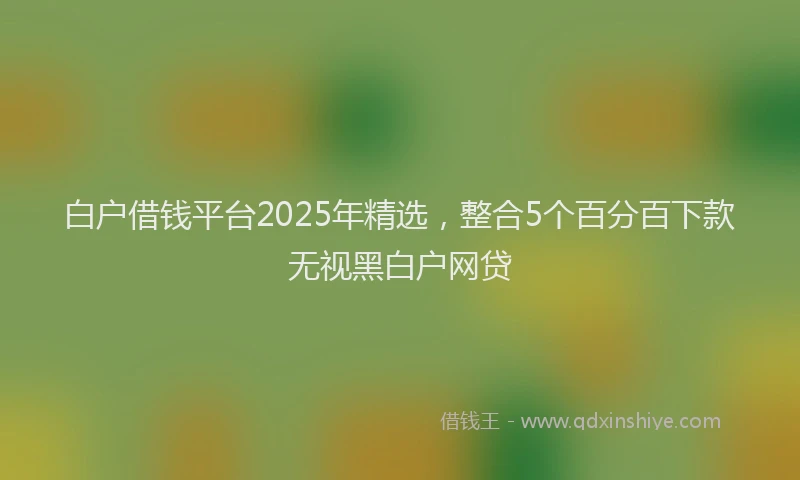 白户借钱平台2025年精选，整合5个百分百下款无视黑白户网贷