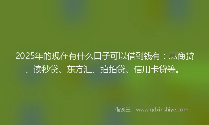 2025年的现在有什么口子可以借到钱有：惠商贷、读秒贷、东方汇、拍拍贷、信用卡贷等。