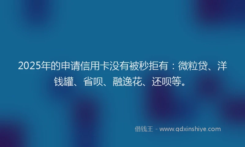 2025年的申请信用卡没有被秒拒有：微粒贷、洋钱罐、省呗、融逸花、还呗等。