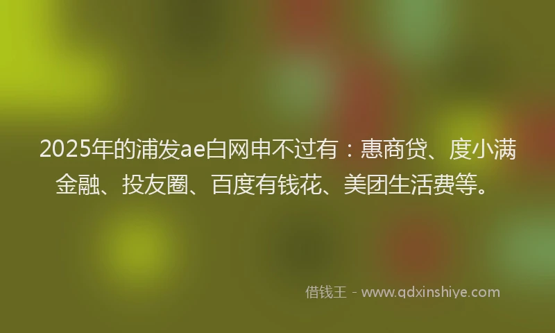 2025年的浦发ae白网申不过有：惠商贷、度小满金融、投友圈、百度有钱花、美团生活费等。