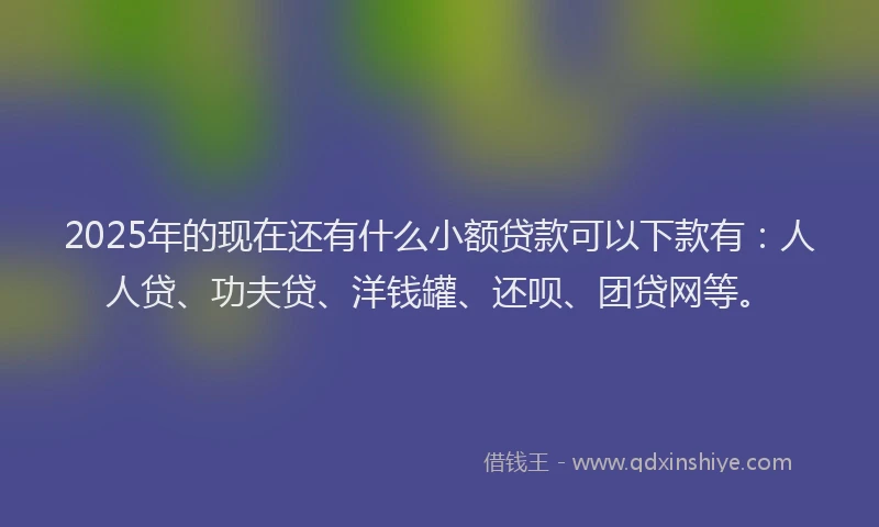 2025年的现在还有什么小额贷款可以下款有：人人贷、功夫贷、洋钱罐、还呗、团贷网等。