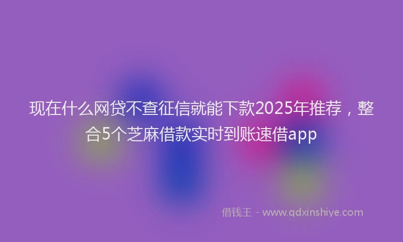 现在什么网贷不查征信就能下款2025年推荐，整合5个芝麻借款实时到账速借app