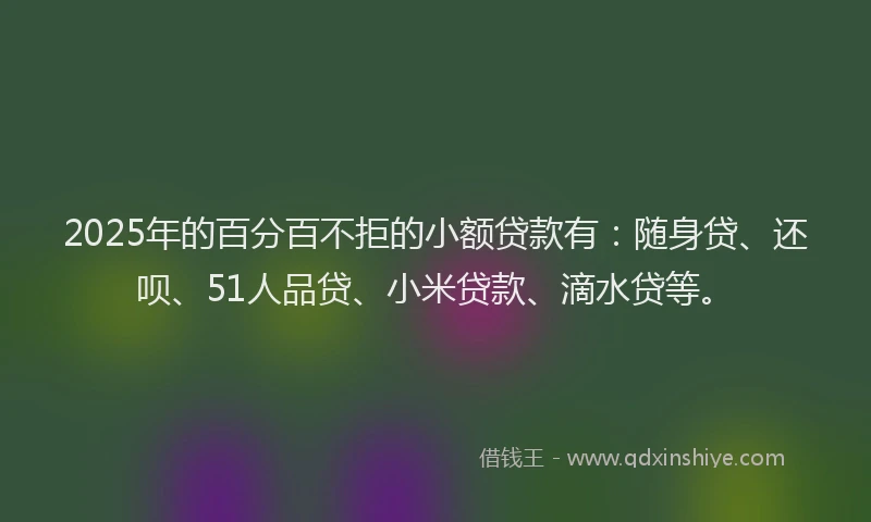 2025年的百分百不拒的小额贷款有：随身贷、还呗、51人品贷、小米贷款、滴水贷等。