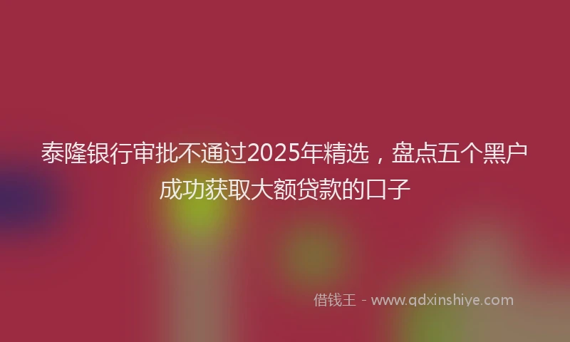 泰隆银行审批不通过2025年精选，盘点五个黑户成功获取大额贷款的口子