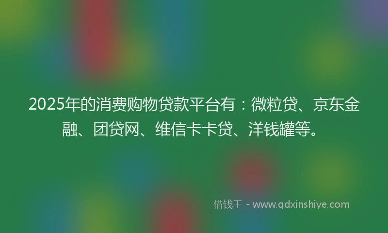 2025年的消费购物贷款平台有：微粒贷、京东金融、团贷网、维信卡卡贷、洋钱罐等。