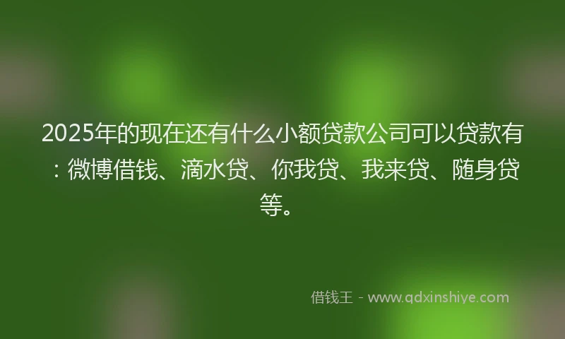 2025年的现在还有什么小额贷款公司可以贷款有：微博借钱、滴水贷、你我贷、我来贷、随身贷等。
