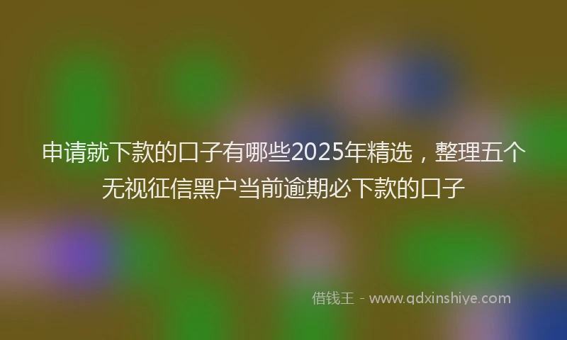 申请就下款的口子有哪些2025年精选，整理五个无视征信黑户当前逾期必下款的口子