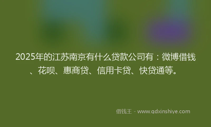 2025年的江苏南京有什么贷款公司有：微博借钱、花呗、惠商贷、信用卡贷、快贷通等。