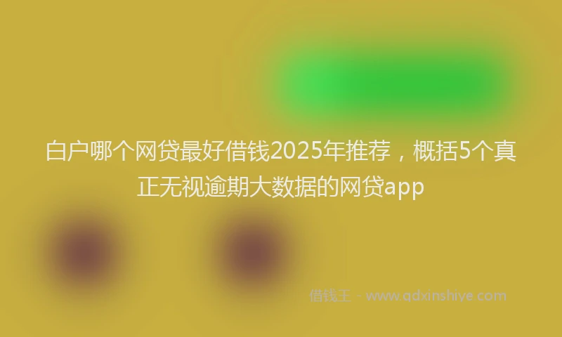 白户哪个网贷最好借钱2025年推荐，概括5个真正无视逾期大数据的网贷app