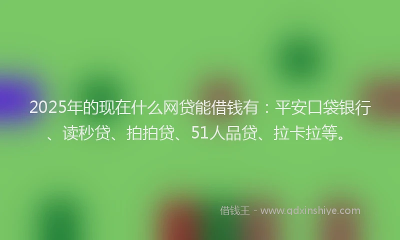 2025年的现在什么网贷能借钱有：平安口袋银行、读秒贷、拍拍贷、51人品贷、拉卡拉等。