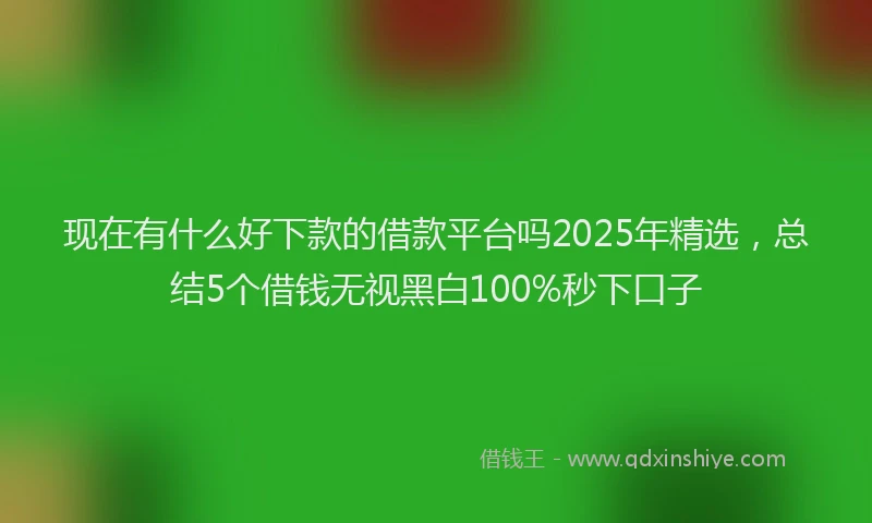现在有什么好下款的借款平台吗2025年精选，总结5个借钱无视黑白100%秒下口子