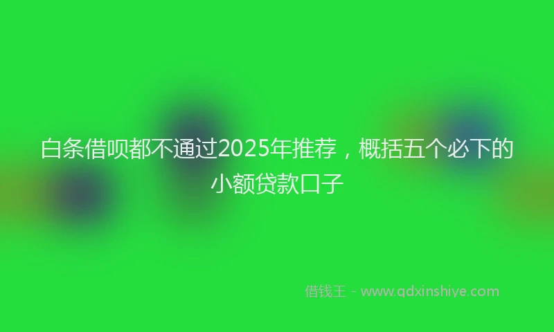白条借呗都不通过2025年推荐，概括五个必下的小额贷款口子