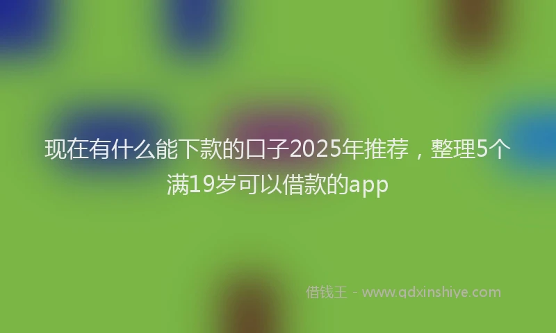 现在有什么能下款的口子2025年推荐，整理5个满19岁可以借款的app