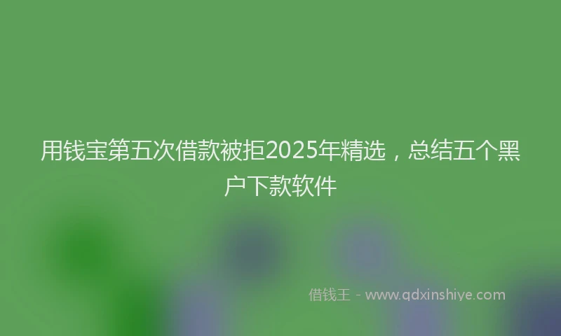用钱宝第五次借款被拒2025年精选，总结五个黑户下款软件