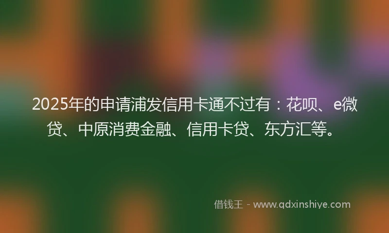 2025年的申请浦发信用卡通不过有：花呗、e微贷、中原消费金融、信用卡贷、东方汇等。