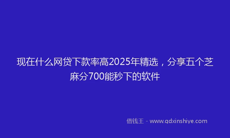 现在什么网贷下款率高2025年精选，分享五个芝麻分700能秒下的软件