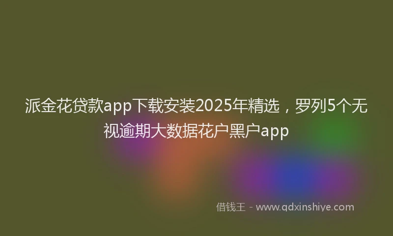 派金花贷款app下载安装2025年精选，罗列5个无视逾期大数据花户黑户app