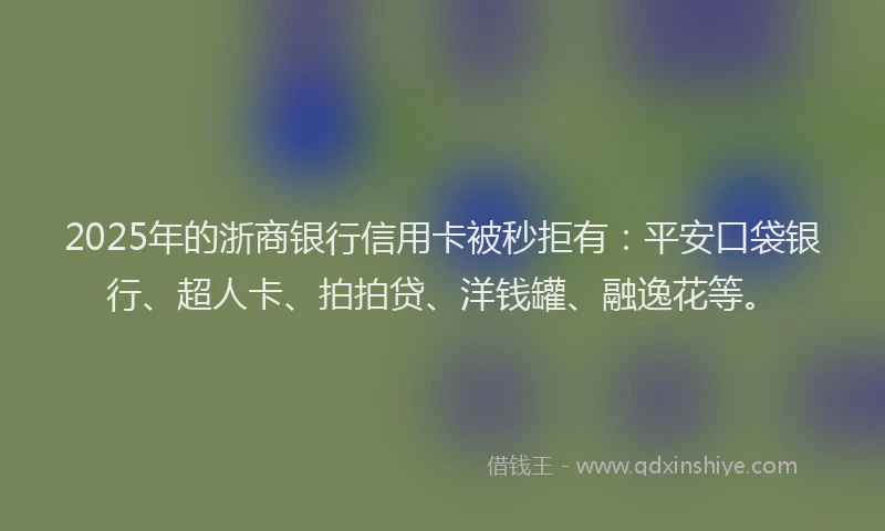 2025年的浙商银行信用卡被秒拒有：平安口袋银行、超人卡、拍拍贷、洋钱罐、融逸花等。