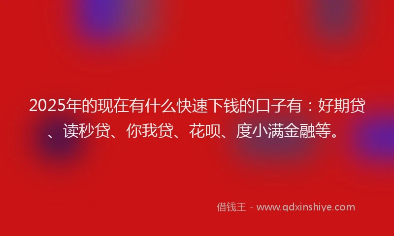 2025年的现在有什么快速下钱的口子有：好期贷、读秒贷、你我贷、花呗、度小满金融等。