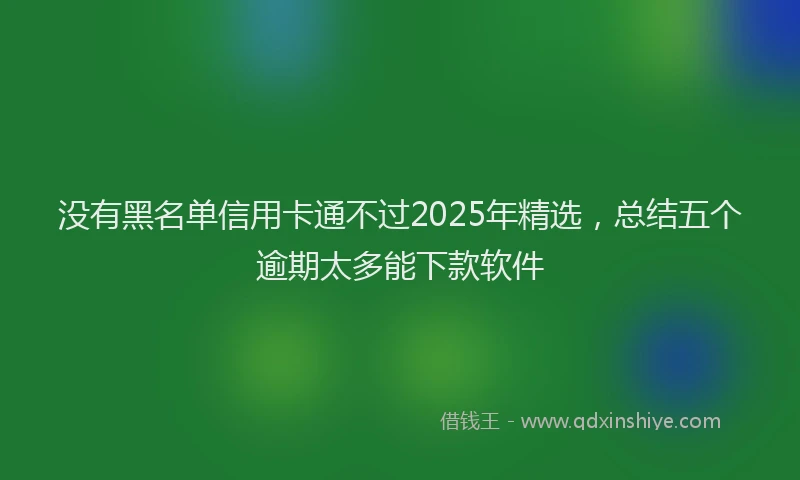 没有黑名单信用卡通不过2025年精选，总结五个逾期太多能下款软件