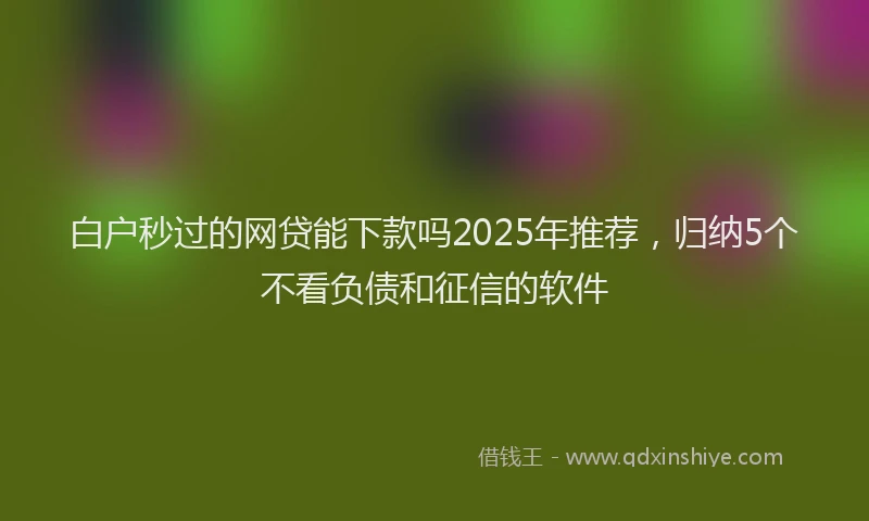 白户秒过的网贷能下款吗2025年推荐，归纳5个不看负债和征信的软件
