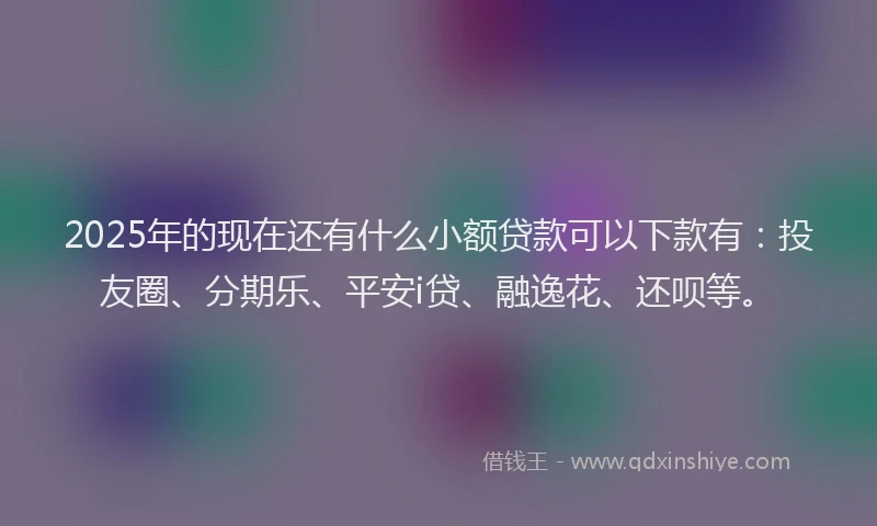 2025年的现在还有什么小额贷款可以下款有：投友圈、分期乐、平安i贷、融逸花、还呗等。
