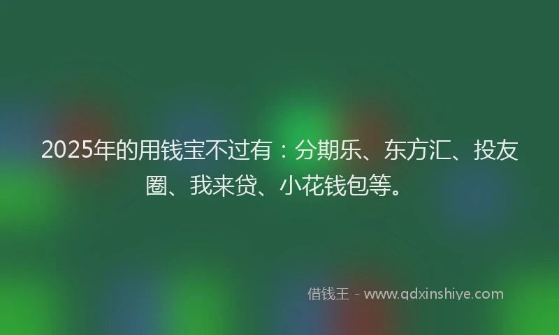 2025年的用钱宝不过有：分期乐、东方汇、投友圈、我来贷、小花钱包等。