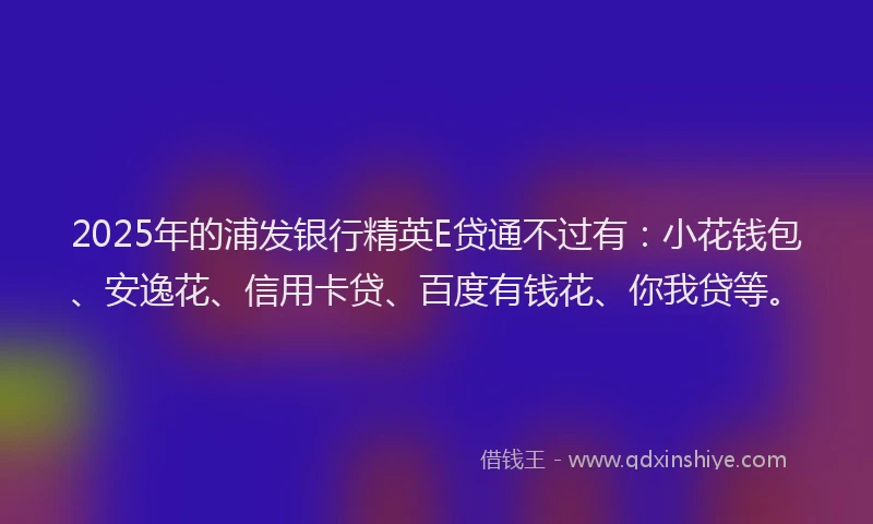 2025年的浦发银行精英E贷通不过有：小花钱包、安逸花、信用卡贷、百度有钱花、你我贷等。