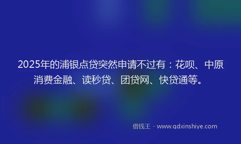 2025年的浦银点贷突然申请不过有：花呗、中原消费金融、读秒贷、团贷网、快贷通等。