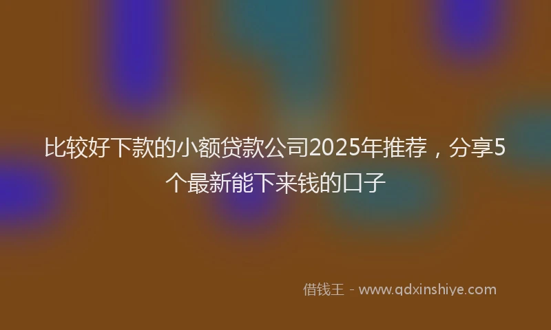 比较好下款的小额贷款公司2025年推荐，分享5个最新能下来钱的口子