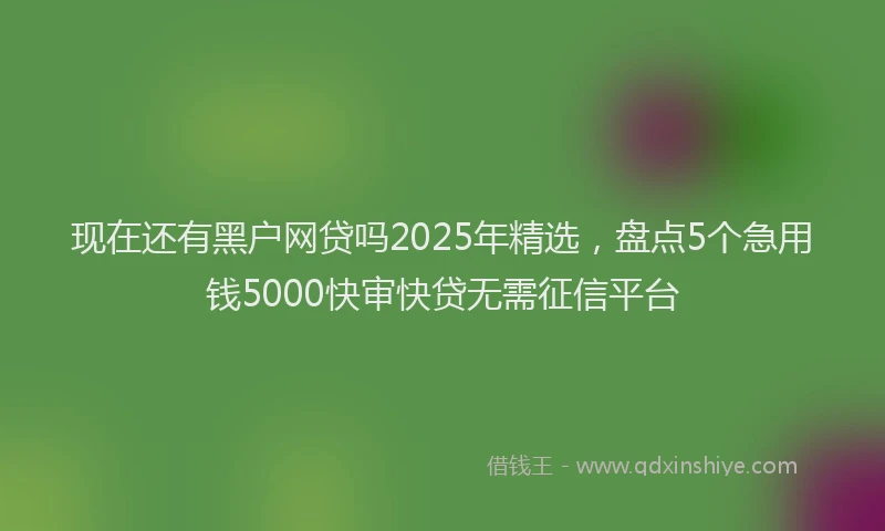 现在还有黑户网贷吗2025年精选，盘点5个急用钱5000快审快贷无需征信平台